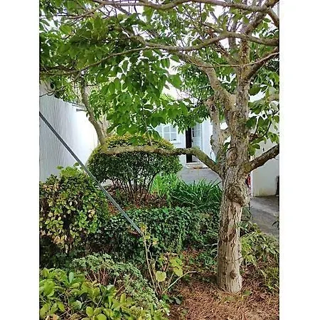 Casa Da Coitena Сasa de vacaciones Aldeia de São Pedro
